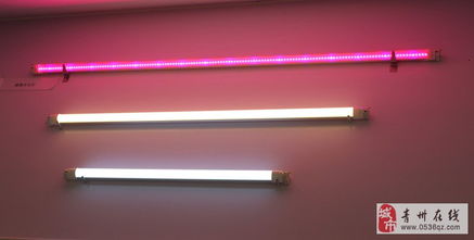 點亮綠色未來 LED節能燈與環保裝飾材料的批發與零售新趨勢